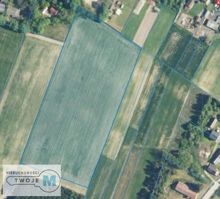 Działka rolna Trzciniec. Zdjęcie 2