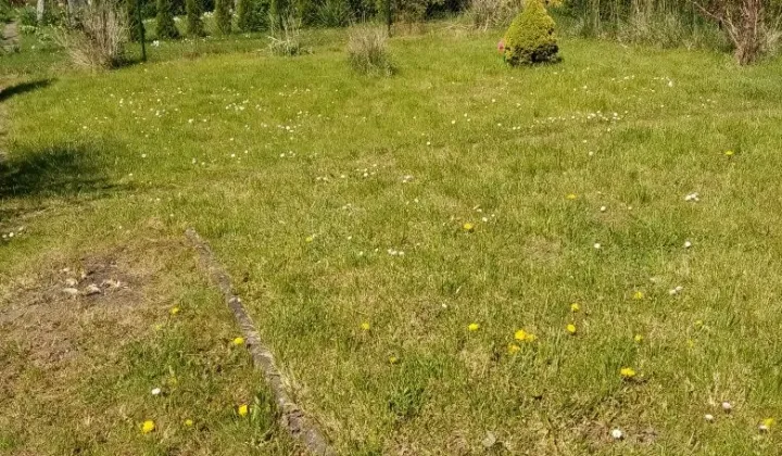 Działka rod Białystok Bojary, ul. Konstantego Ciołkowskiego