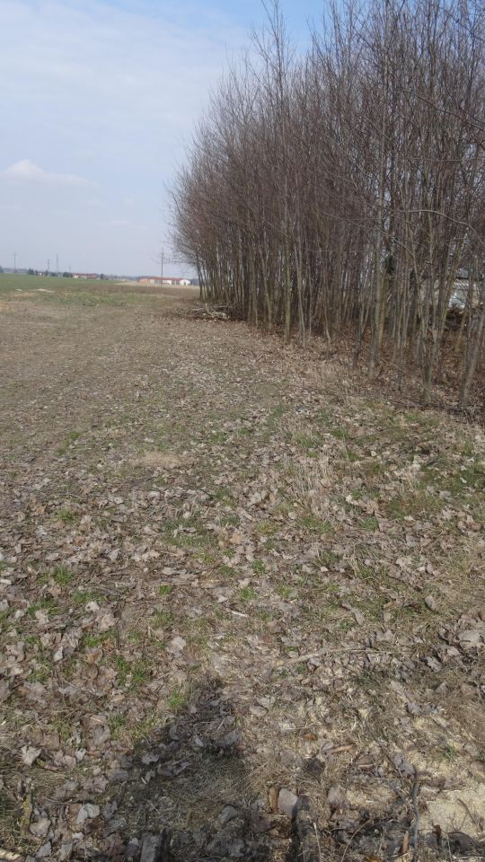 Działka budowlana Zduny Zduny-Parcele. Zdjęcie 4