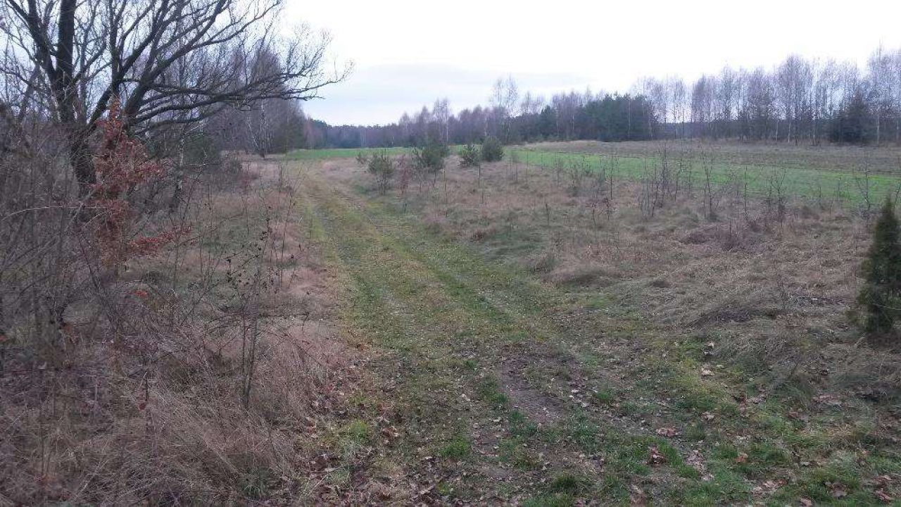 Działka budowlana Emilianówka. Zdjęcie 8
