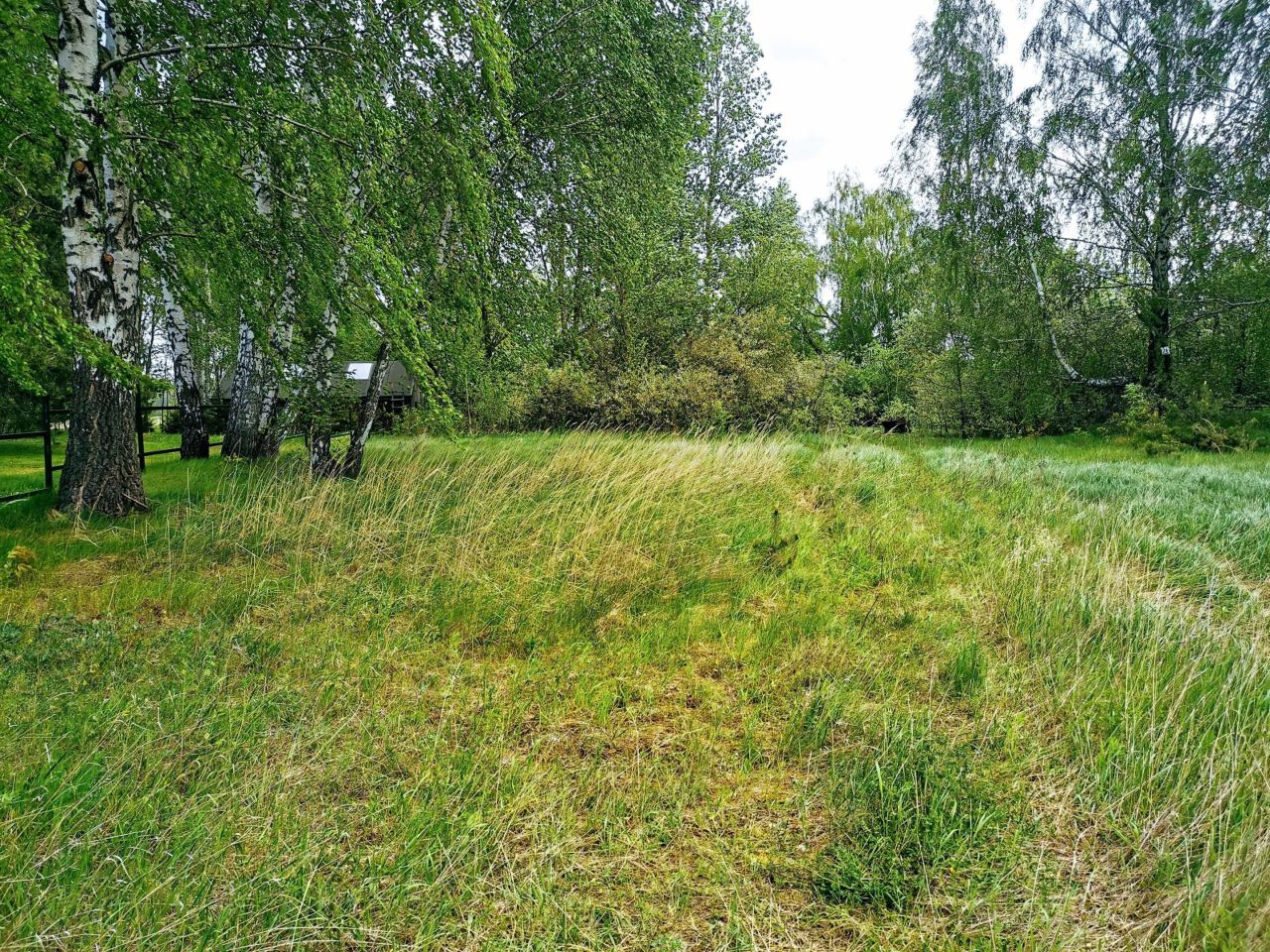 Działka budowlana Nowe Okniny. Zdjęcie 2