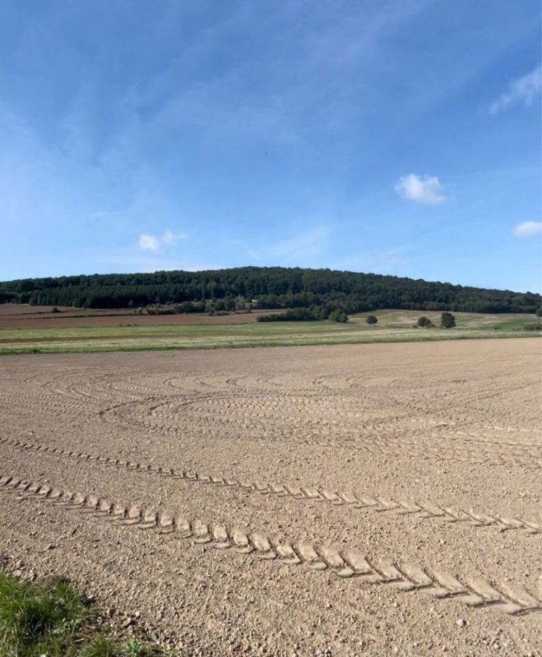 Działka budowlana Paszowice. Zdjęcie 2