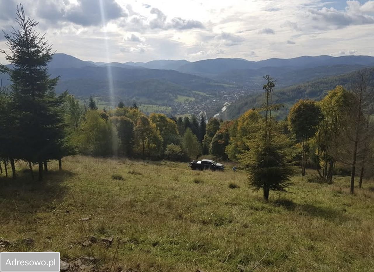 Działka leśna Rajcza Graberki