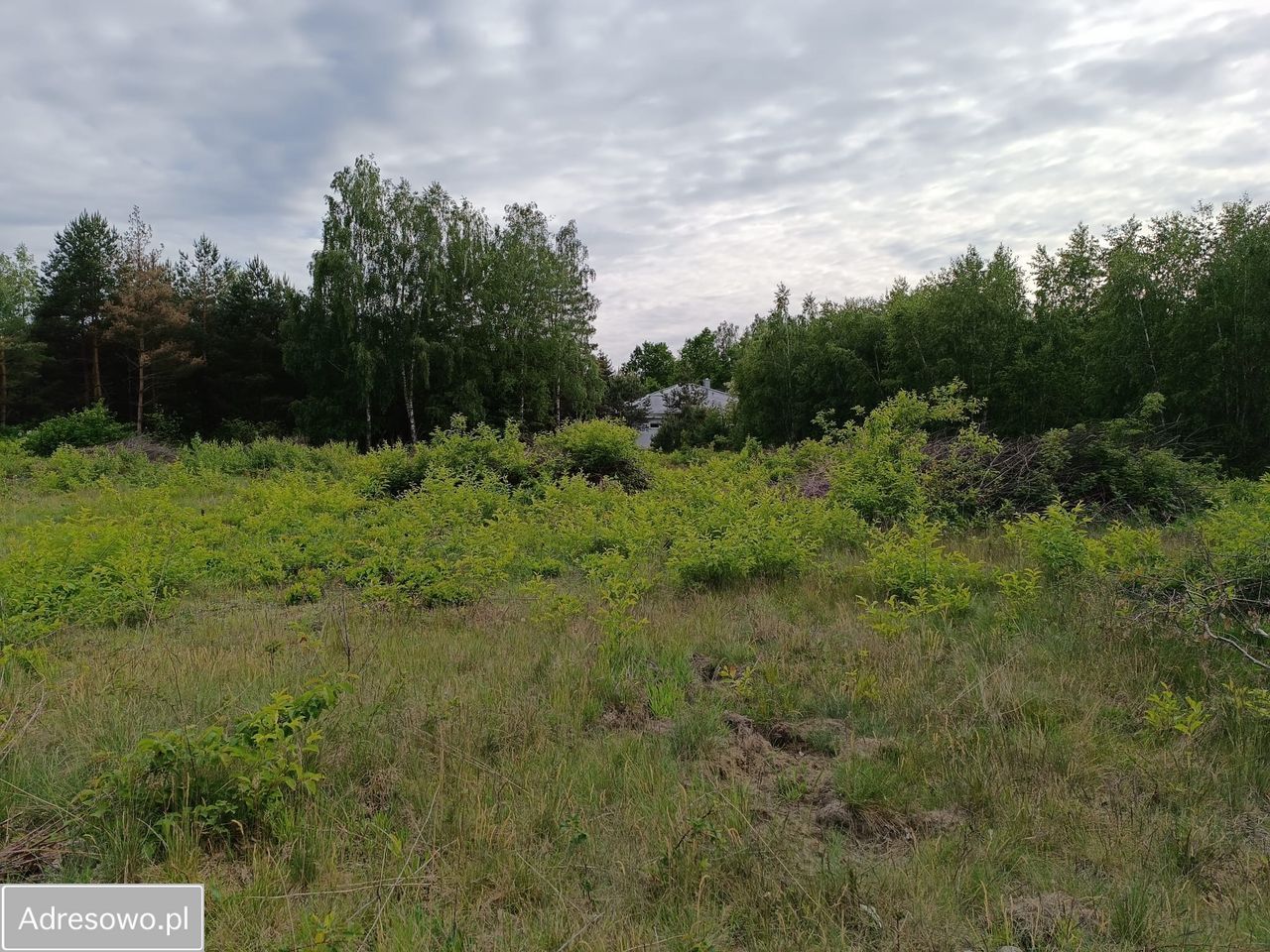 Działka budowlana Mieszkowo, ul. Szklarniowa. Zdjęcie 6