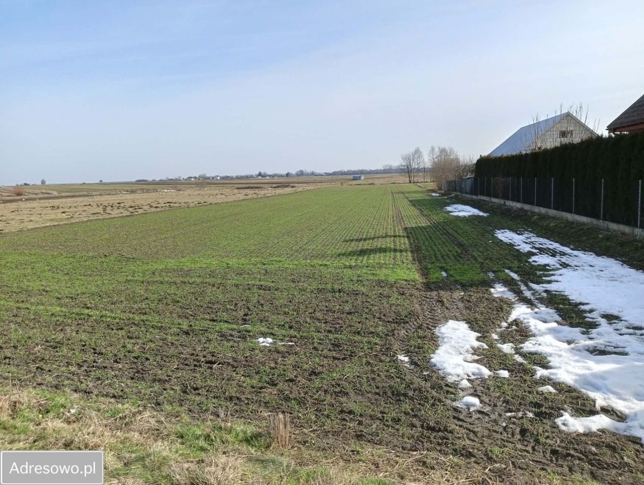 Działka budowlana Adamów, ul. Polna. Zdjęcie 1