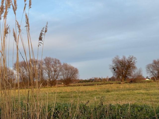 Działka rolna Oleśniczka. Zdjęcie 1