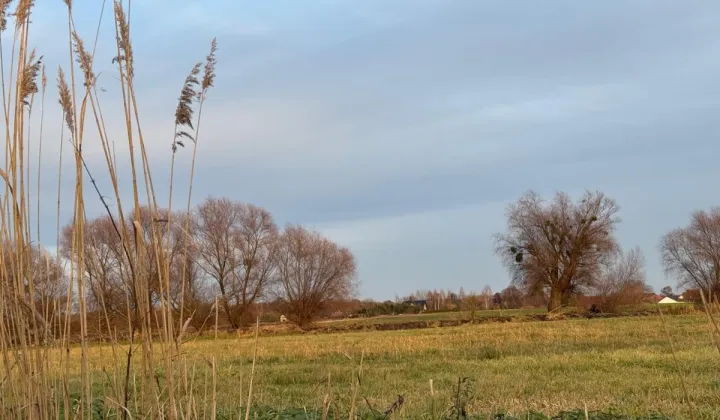 Działka rolna Oleśniczka