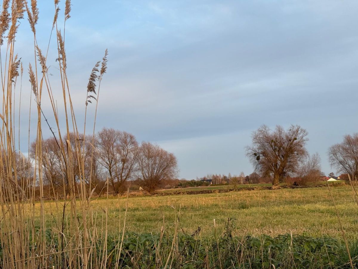 Działka rolna Oleśniczka. Zdjęcie 1