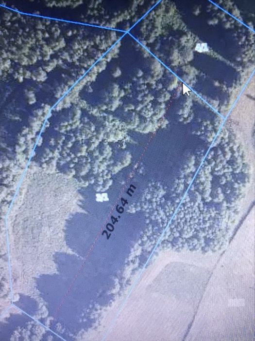 Działka rolna Gościeszyn. Zdjęcie 4