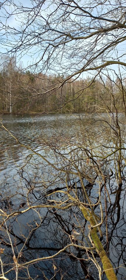 Działka budowlana Łosienice Dąbrowa. Zdjęcie 11