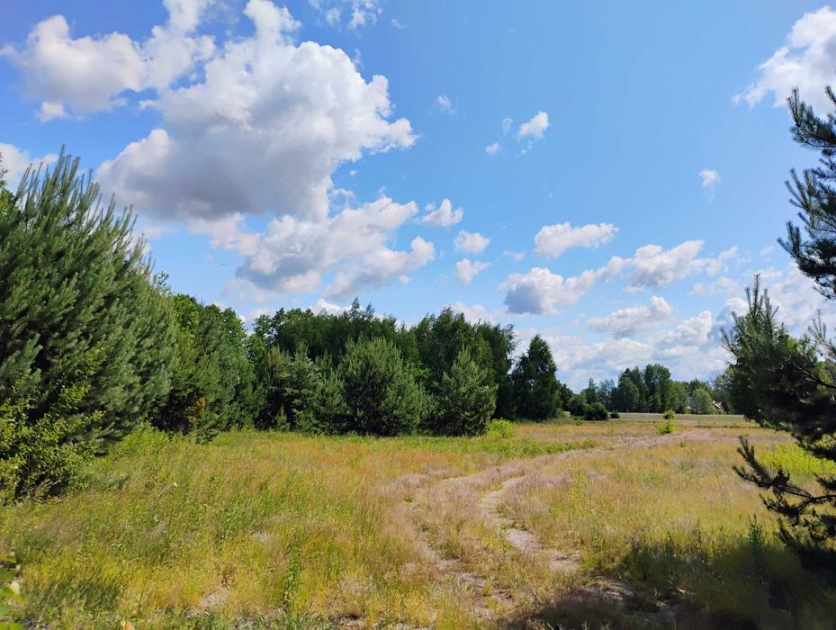 Działka budowlana Ławki, ul. Zielonych Sosen