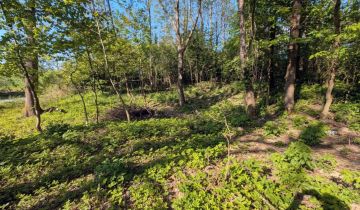 Działka siedliskowa Dębiany