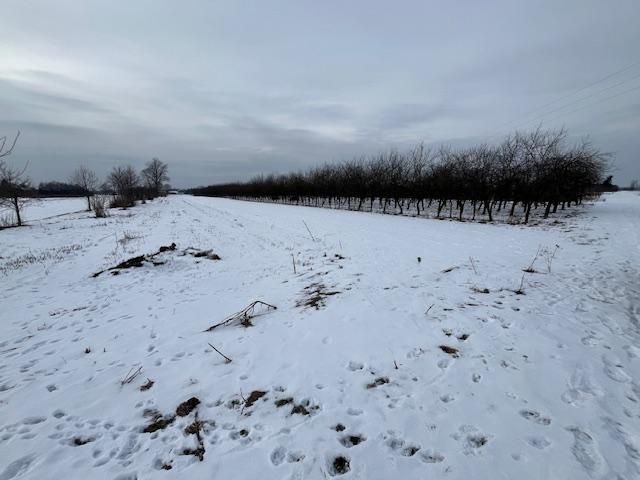 Działka rolna Dziecinów. Zdjęcie 1