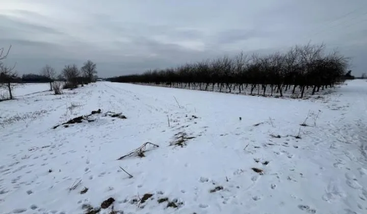 Działka rolna Dziecinów