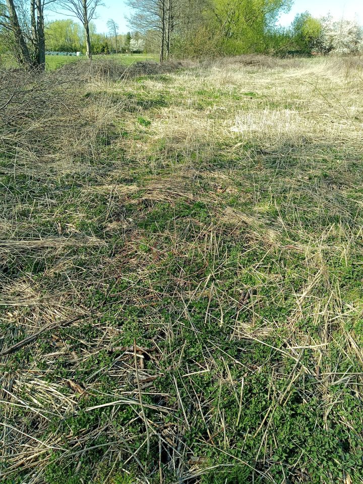 Działka budowlana Jedwabne. Zdjęcie 10