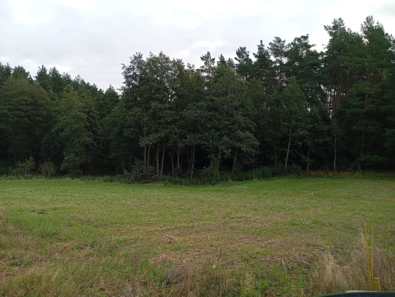 Działka budowlana Szumleś Szlachecki. Zdjęcie 6