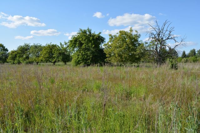 Działka budowlana Puszczykowo. Zdjęcie 1