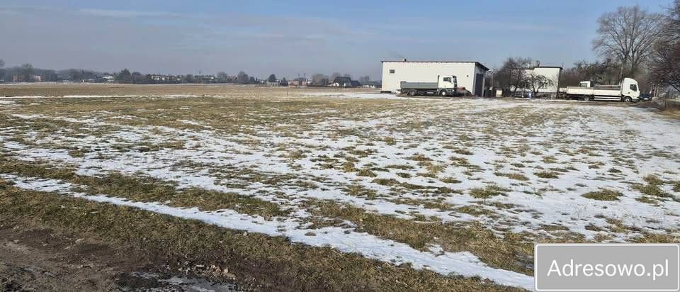 Działka budowlana Mikołów Bujaków, ul. Szkolna. Zdjęcie 4