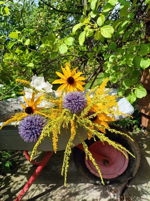 Działka rod Gdańsk Aniołki. Zdjęcie 7