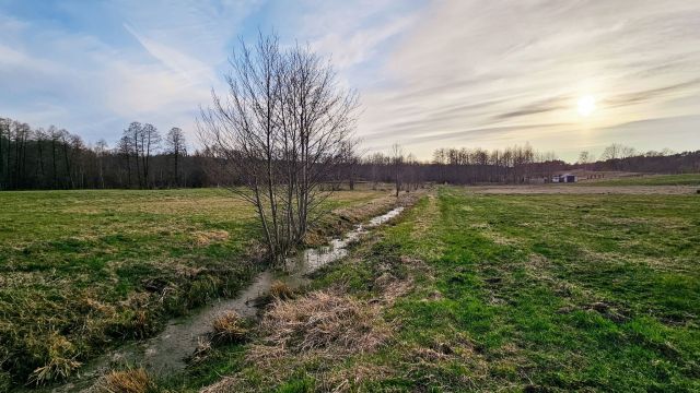 Działka budowlana Giętkie. Zdjęcie 5