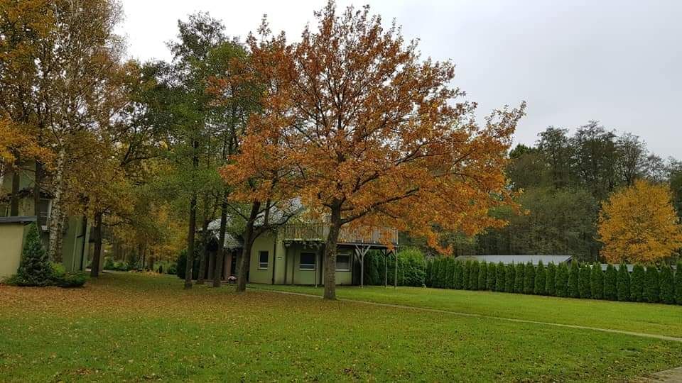 Hotel/pensjonat Dąbki, ul. Turystyczna. Zdjęcie 4