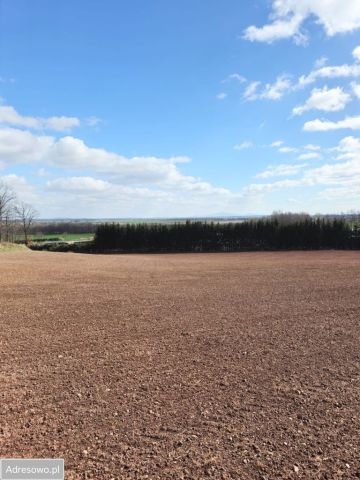 Działka rolno-budowlana Bronów. Zdjęcie 1