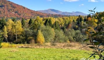 Działka rolna Krzywe