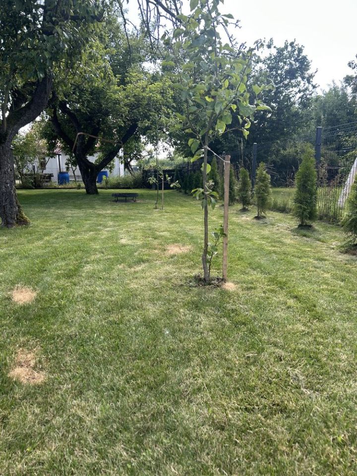 Działka rod Wałcz, ul. Nadjeziorna. Zdjęcie 2