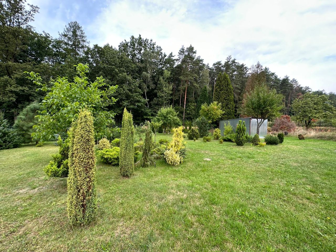 Działka budowlana Świerczyna. Zdjęcie 4