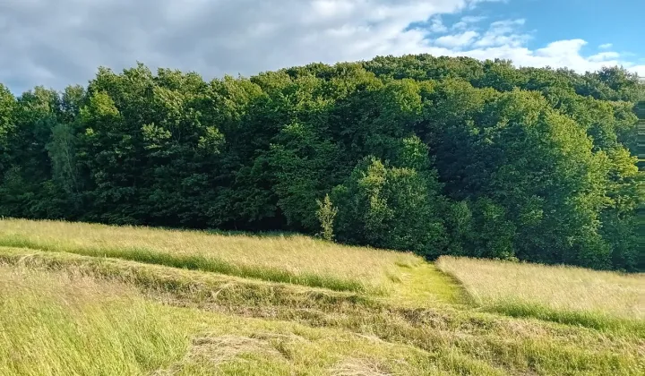 Działka budowlana Dobranowice
