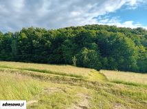 Działka budowlana Dobranowice. Zdjęcie 4