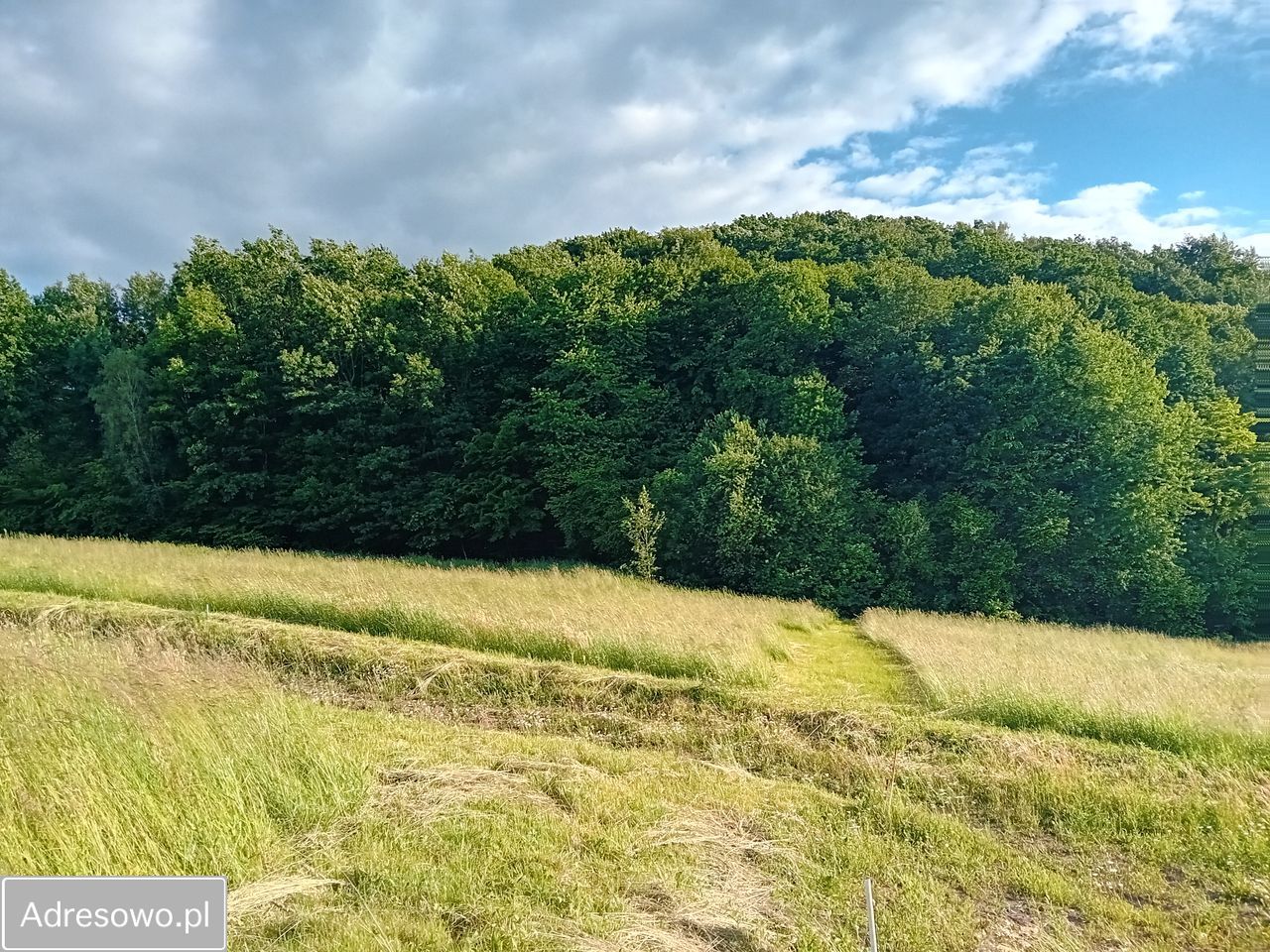 Działka budowlana Dobranowice. Zdjęcie 1