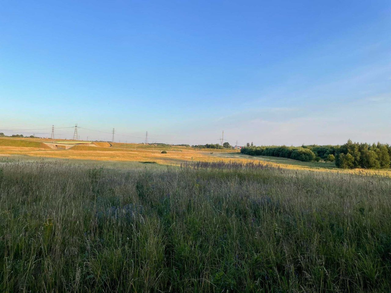 Działka rolna Stare Bielice