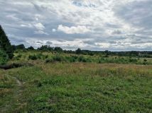 Działka budowlana Dołuje, ul. Żubrza. Zdjęcie 3