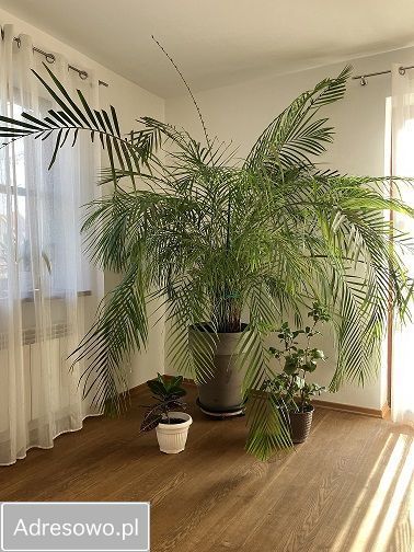 dom szeregowy, 8 pokoi Łowicz, ul. Adama Mickiewicza. Zdjęcie 15