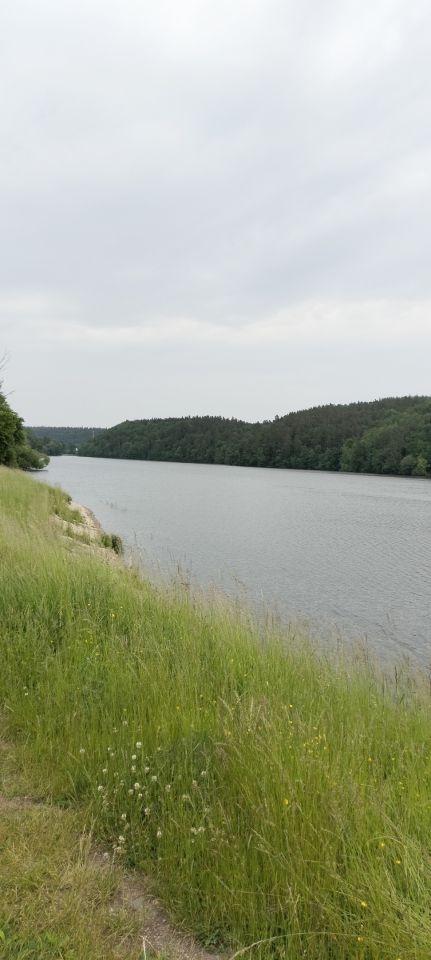 Działka budowlana Widlino. Zdjęcie 6