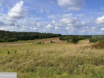 Działka rolno-budowlana Kwaśniów Górny. Zdjęcie 3