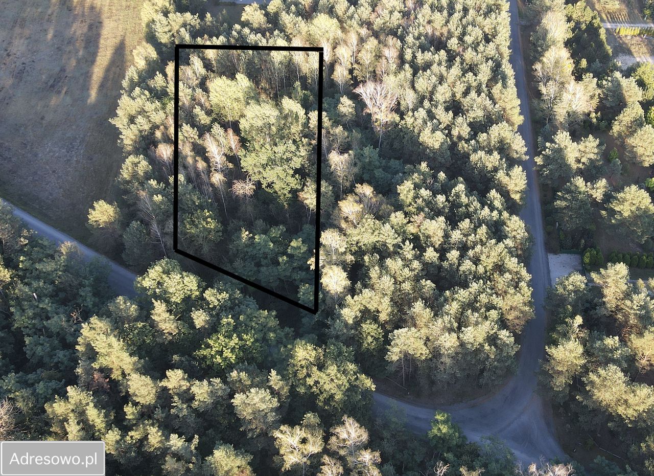Działka budowlana Władków. Zdjęcie 2