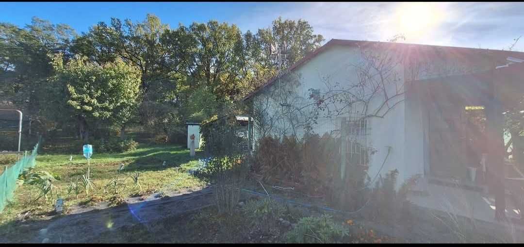 Działka rod Krosno Odrzańskie, ul. Gubińska. Zdjęcie 5