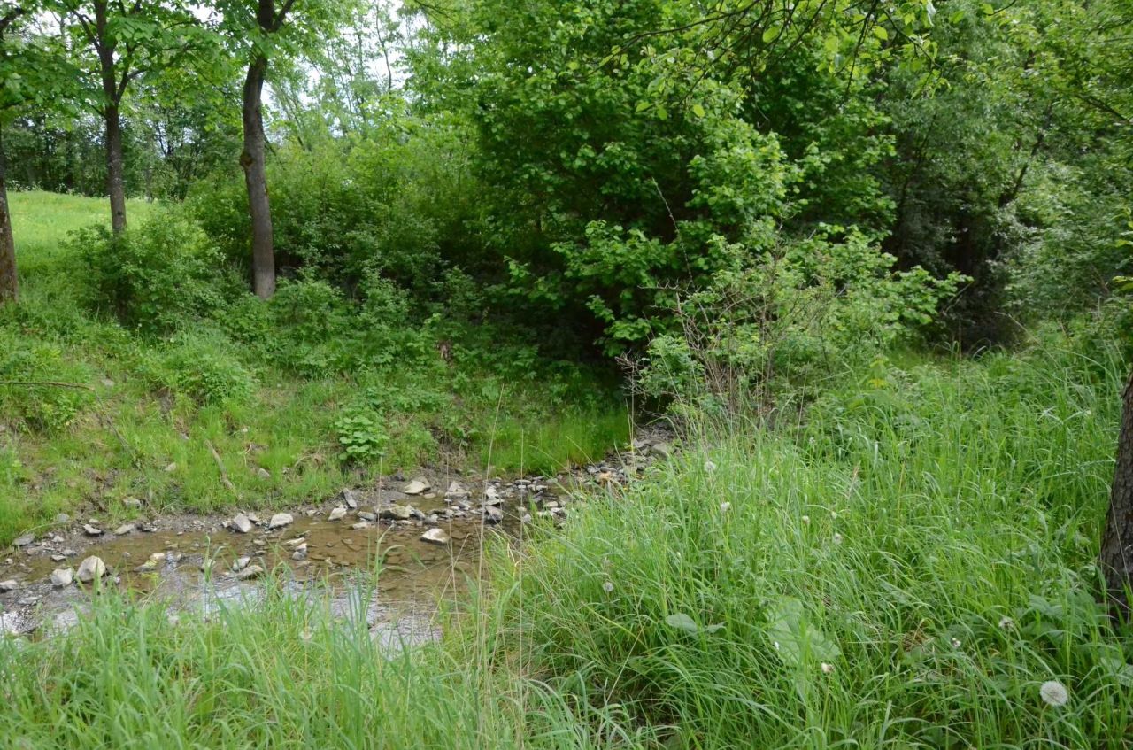 Działka budowlana Skwirtne. Zdjęcie 7
