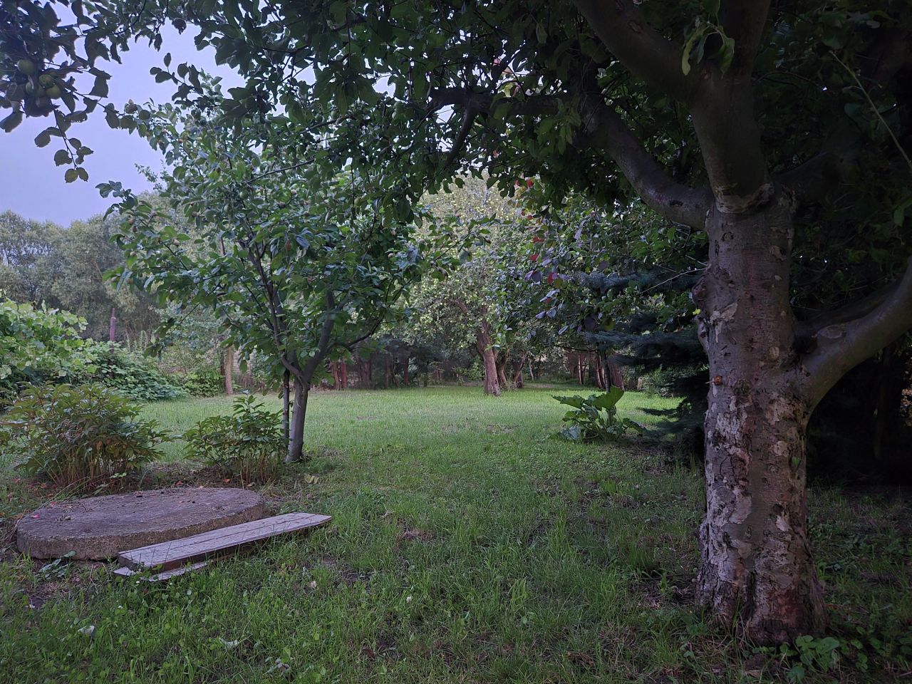 dom wolnostojący, 4 pokoje Kalisz Piwonice, ul. Słowiańska. Zdjęcie 7