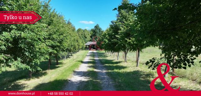 Działka siedliskowa Struga. Zdjęcie 2