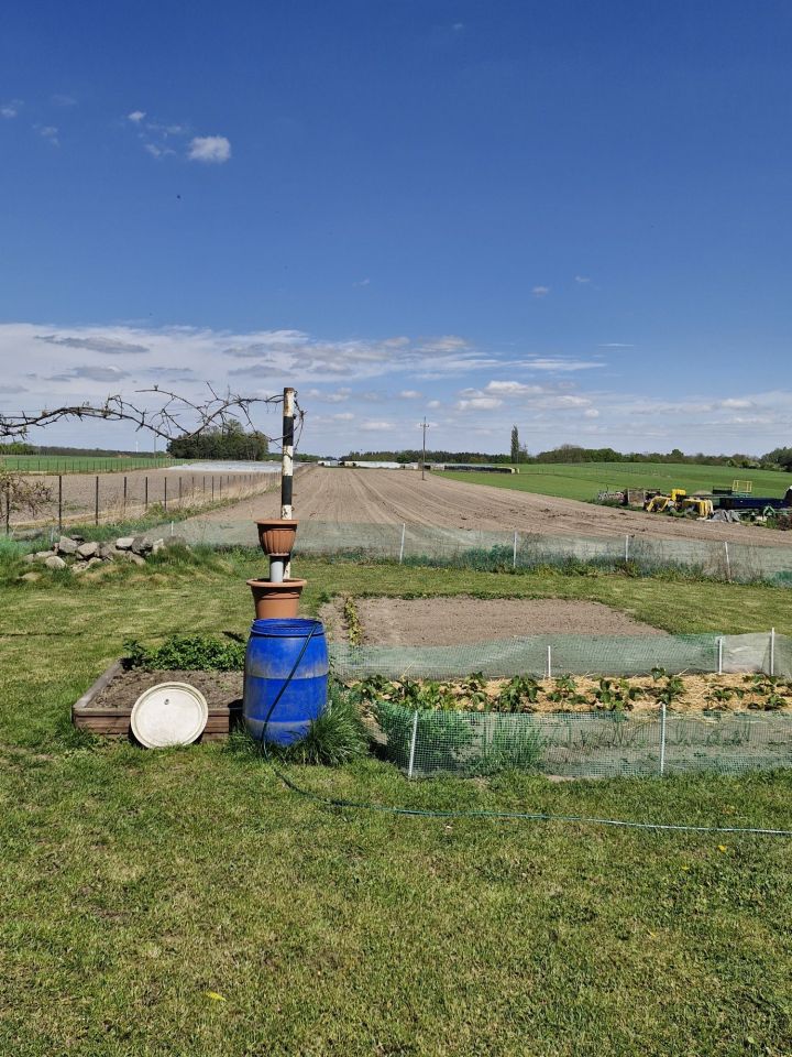 dom wolnostojący, 6 pokoi Tarnowa. Zdjęcie 8