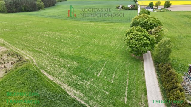 Działka budowlana Borzechowo, ul. Leśna. Zdjęcie 6