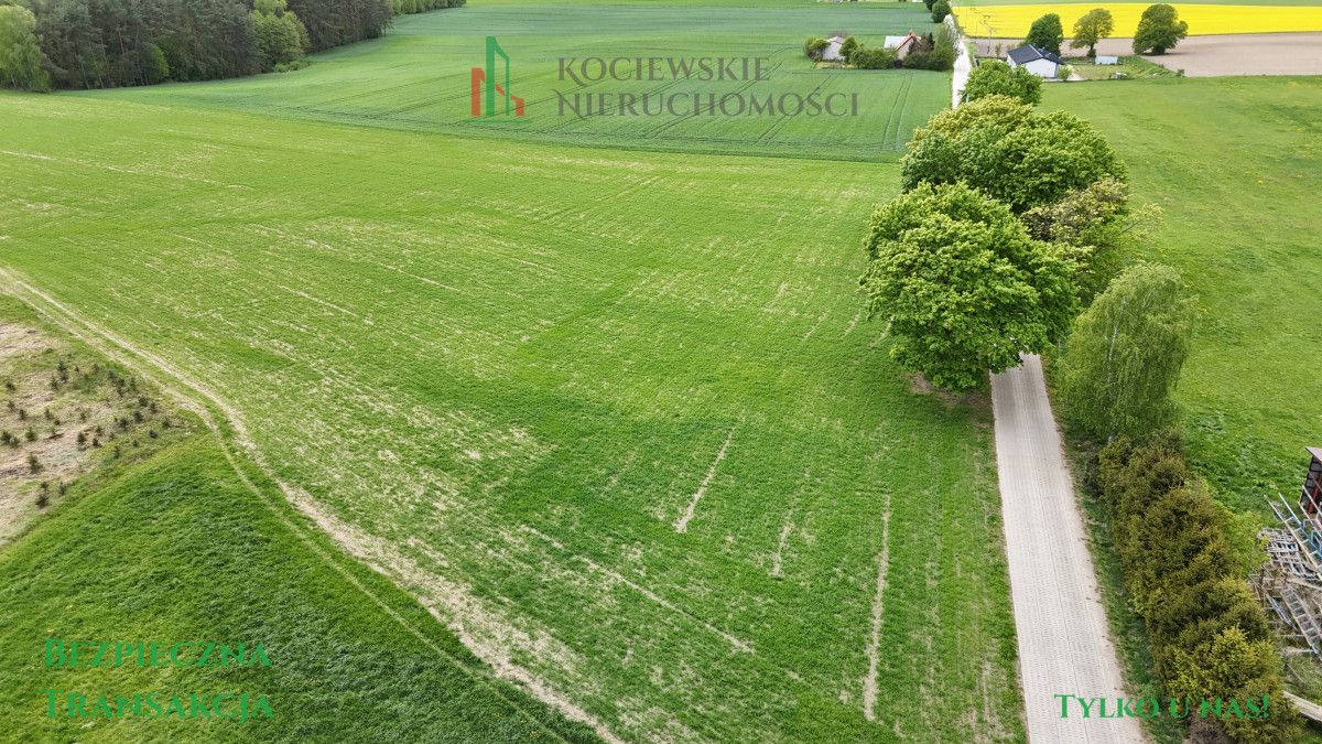 Działka budowlana Borzechowo, ul. Leśna. Zdjęcie 6