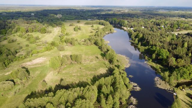 Działka rekreacyjna Skrzeszew, ul. Janiny. Zdjęcie 1