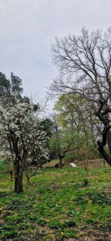 Działka siedliskowa Nowa Wieś Złotoryjska. Zdjęcie 16