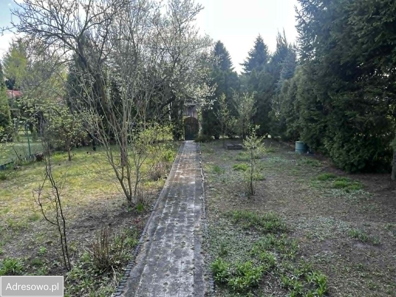 Działka rod Poznań Edwardowo, ul. Bukowska. Zdjęcie 3