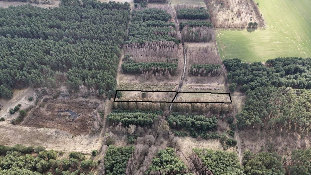 Działka rolna Kowale Kiczmachów, ul. Kiczmachów. Zdjęcie 6