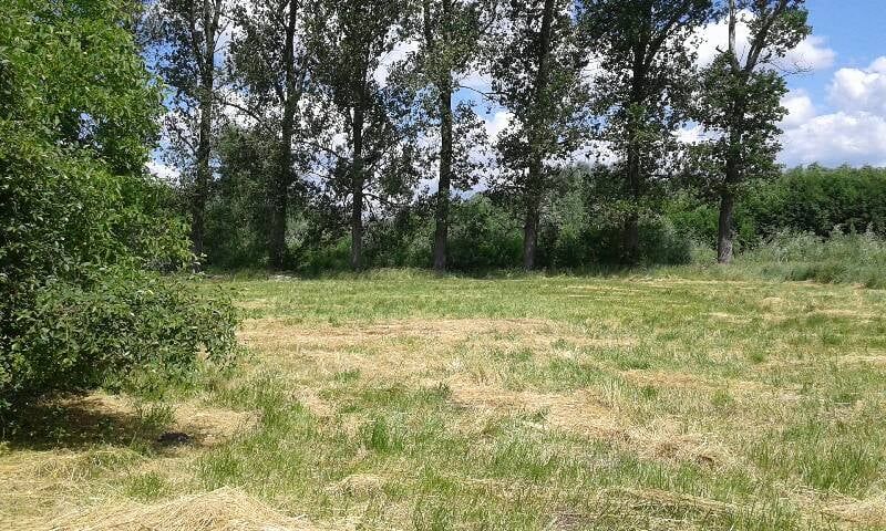 Działka rolno-budowlana Warszawa Ursynów, ul. Trombity. Zdjęcie 2